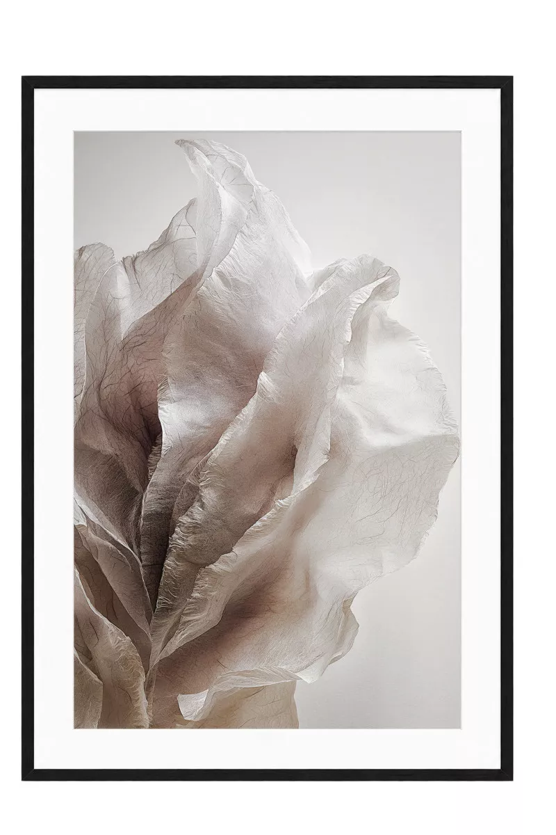 ORGANIC VEIL I – Gerahmter Fine Art Print